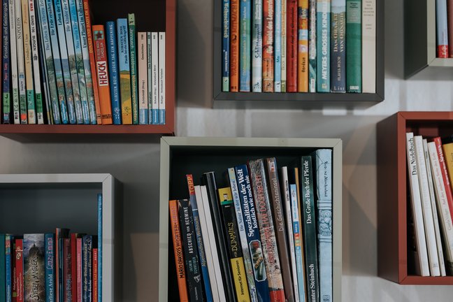 Bücher in verschiedenen Größen und Farben, ordentlich in Wandregalen angeordnet.